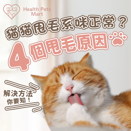 【貓貓甩毛毛係咪正常😰?4個原因同解決方法!】