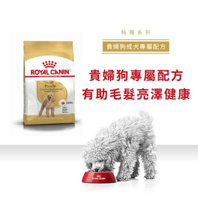 BHN 貴婦狗成犬專屬配方 3公斤