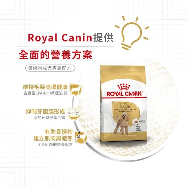 BHN 貴婦狗成犬專屬配方 3公斤