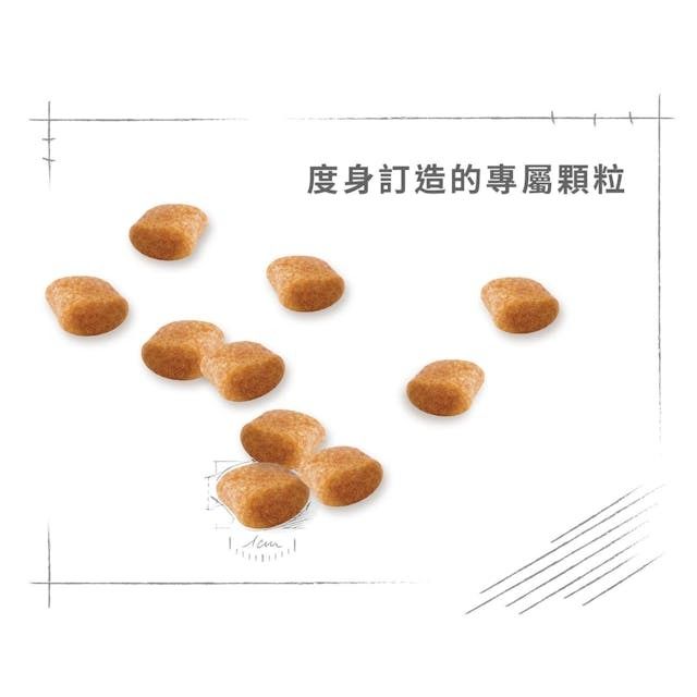 BHN 貴婦狗成犬專屬配方 3公斤
