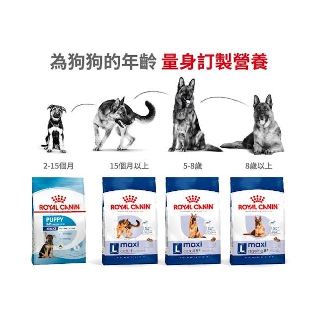 SHN 大型成犬營養配方 15公斤 (包裝隨機提供)