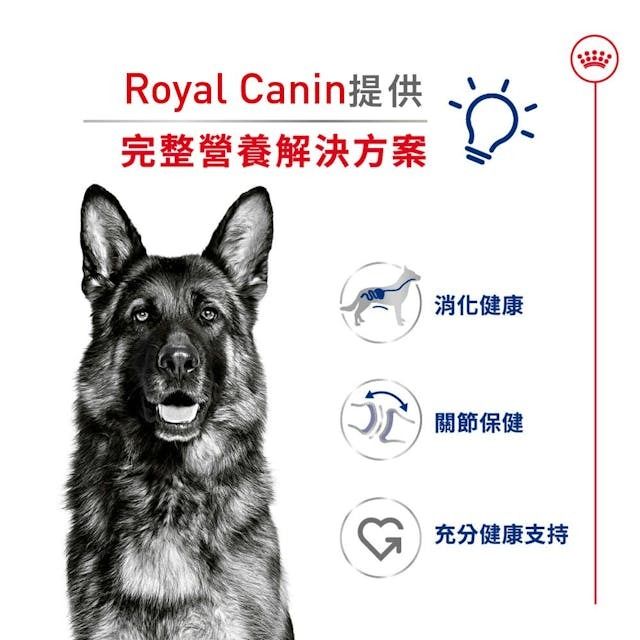 SHN 大型成犬營養配方 15公斤 (包裝隨機提供)