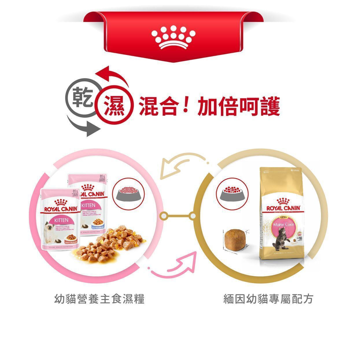 緬因幼貓專屬配方 2kg 貓乾糧 FBN 骨骼關節配方