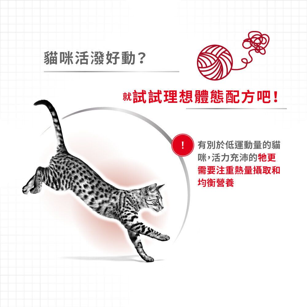 FHN 成貓全效健康營養配方 10 公斤