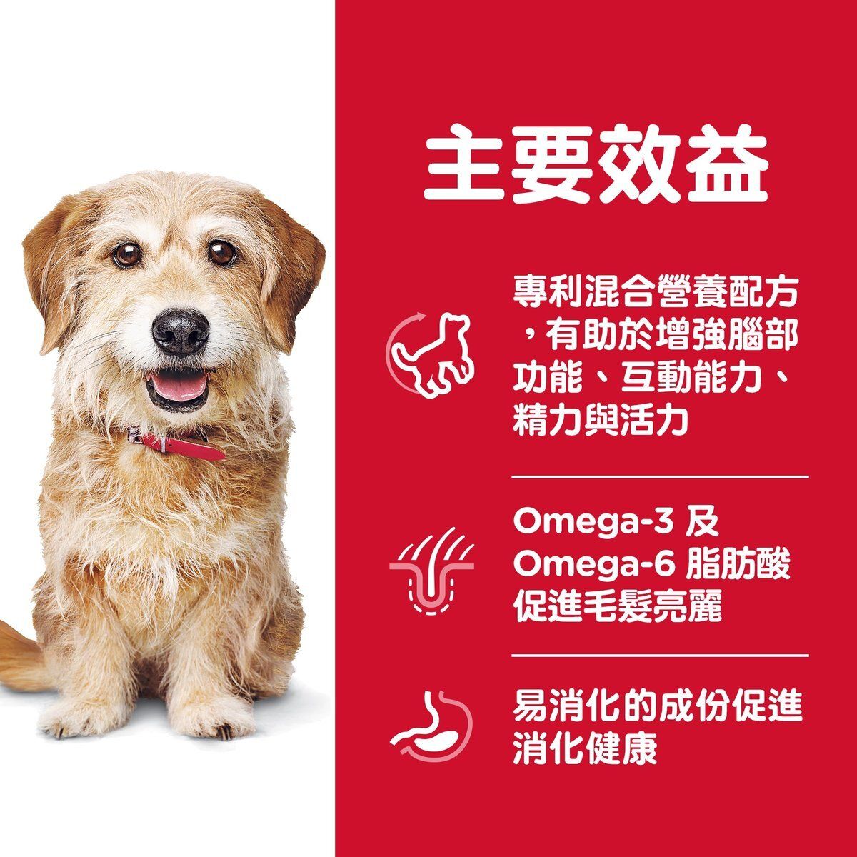 高齡犬7+ 提升活力配方 小型犬配方 狗乾糧 3.5磅 10770