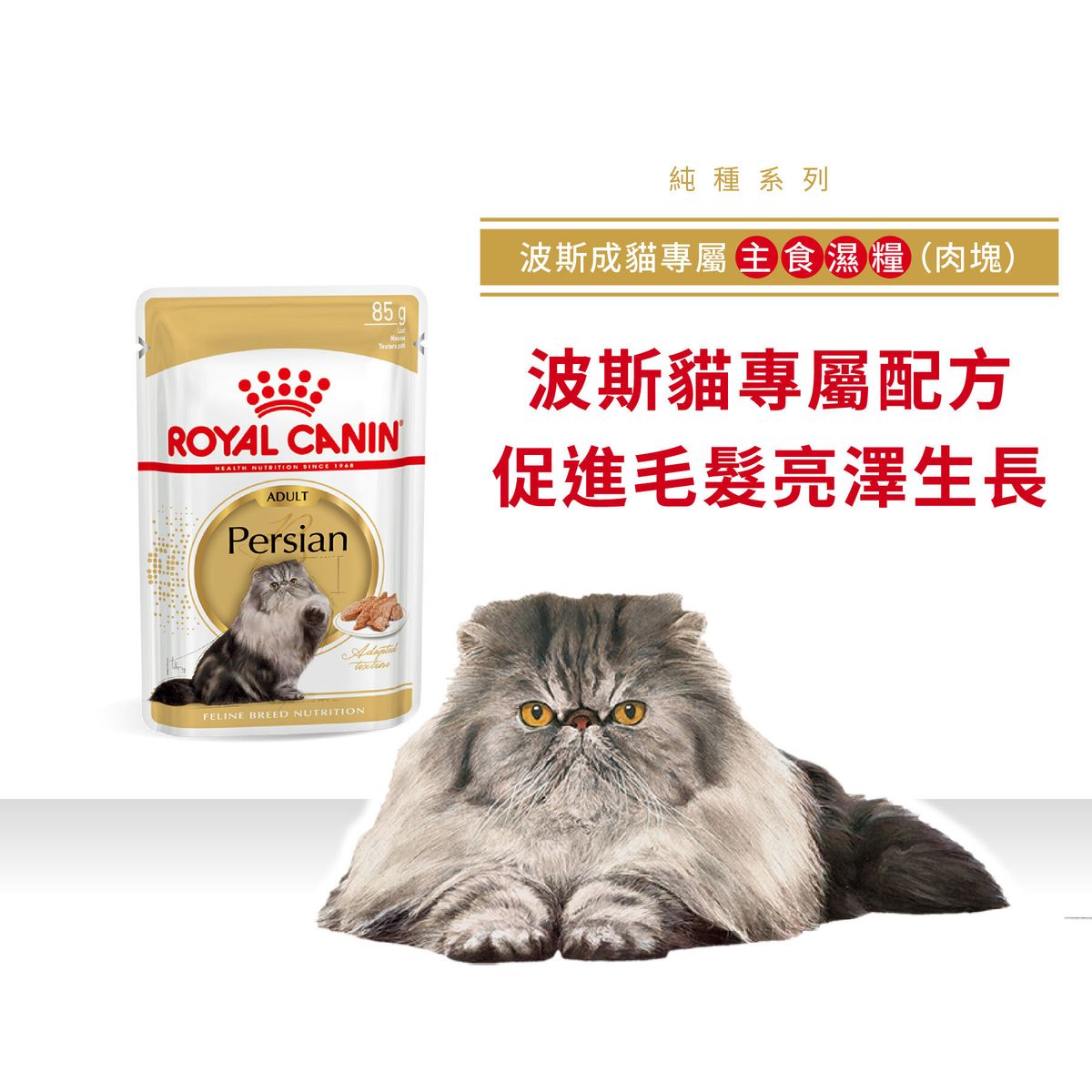 皇家 - FBN 波斯成貓專屬主食濕糧(肉塊)85克 X 2