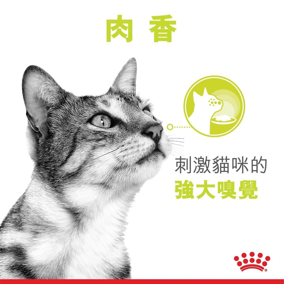 FHN 貓感系列 肉香營養主食濕糧 (肉汁) 85克 x 12