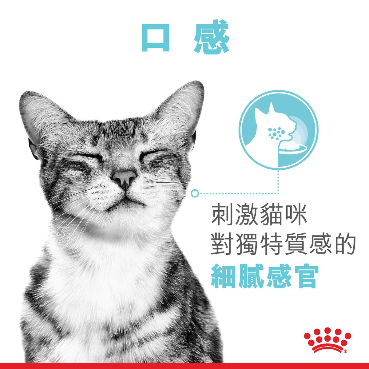 FHN 貓感系列 口感營養主食濕糧 (肉汁) 85克 X 12