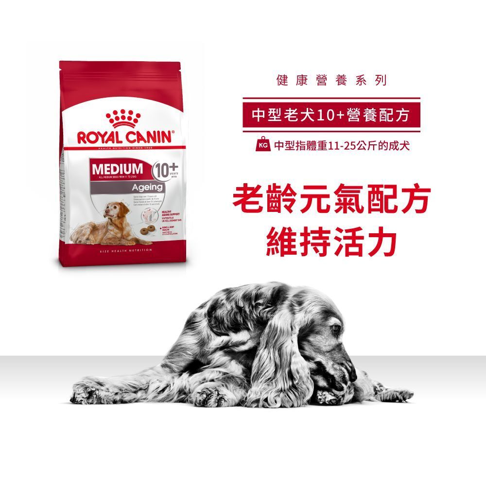 SHN 中型老犬 10+ 營養配方 3公斤