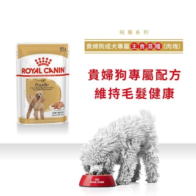BHN 貴婦狗成犬專屬主食濕糧(肉塊)85克 x 12