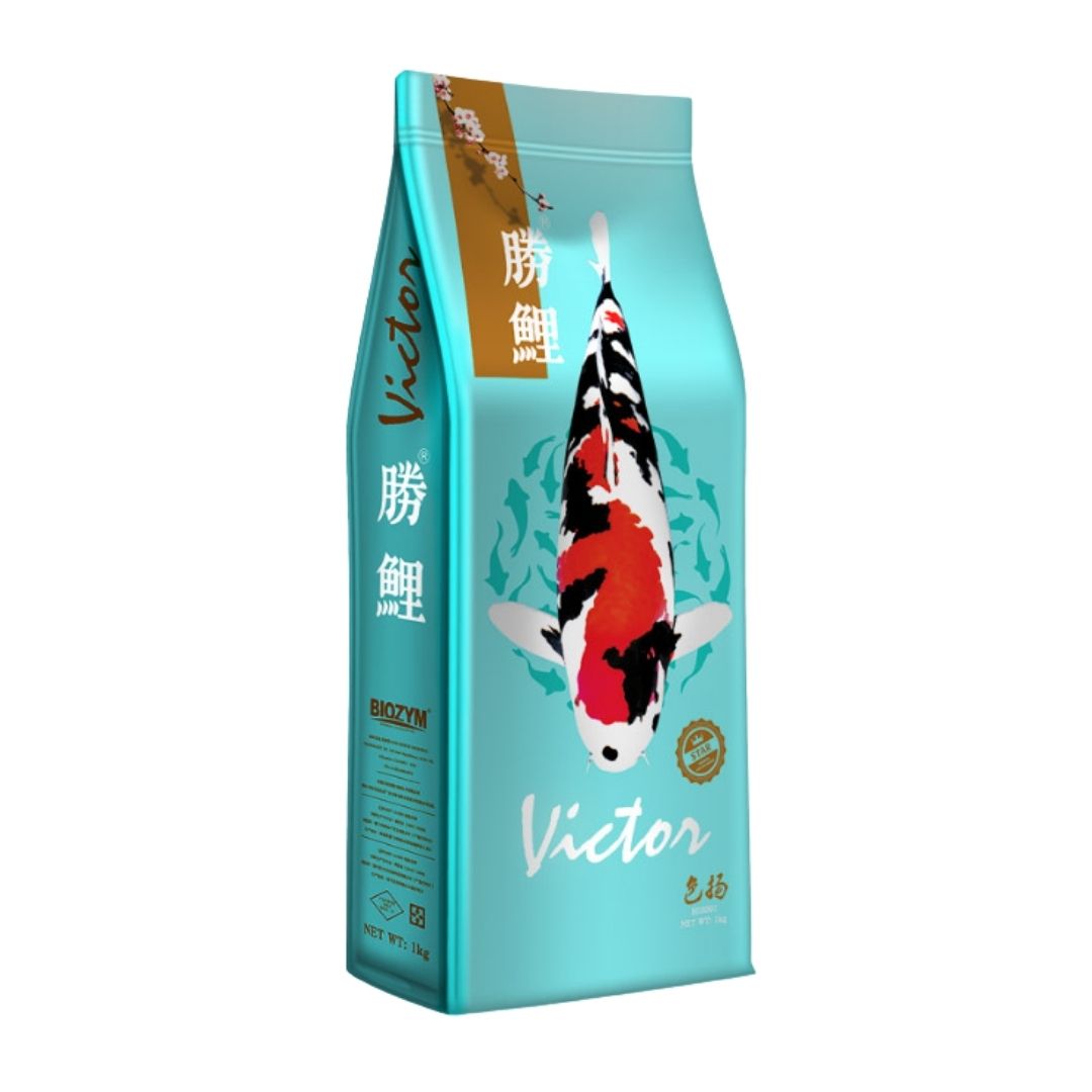 Biozyn-勝鯉系列 錦鯉色揚益生菌配方魚糧 BD3501-M (1KG) | 香港行貨 錦鯉 鯉魚 色揚魚糧 益生菌 金魚