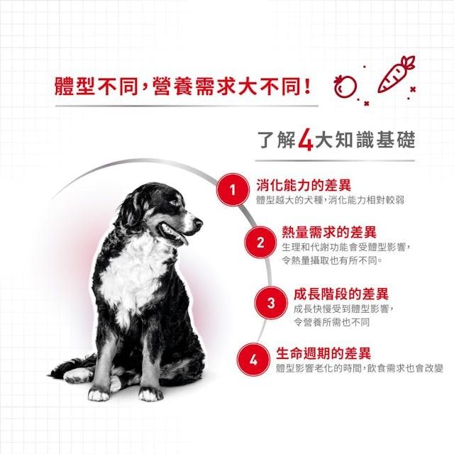 SHN 中型成犬營養主食濕糧 (肉汁) 140克 X 10