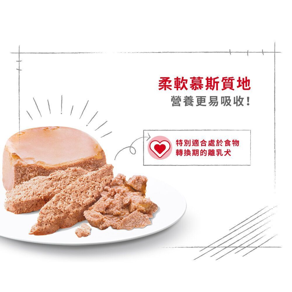 SHN 初生犬及母犬營養主食罐頭195克 X 12