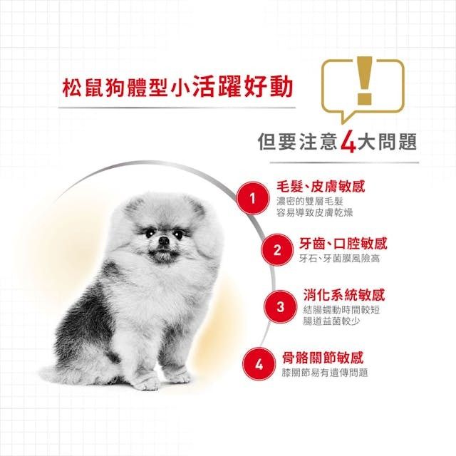 BHN 松鼠狗成犬專屬主食濕糧 (肉塊) 85克 x 12