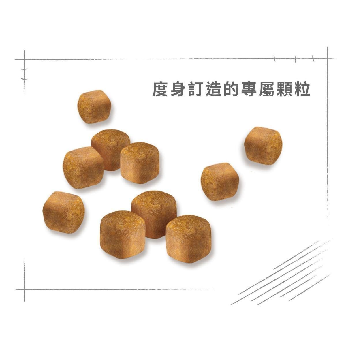 緬因幼貓專屬配方 2kg 貓乾糧 FBN 骨骼關節配方