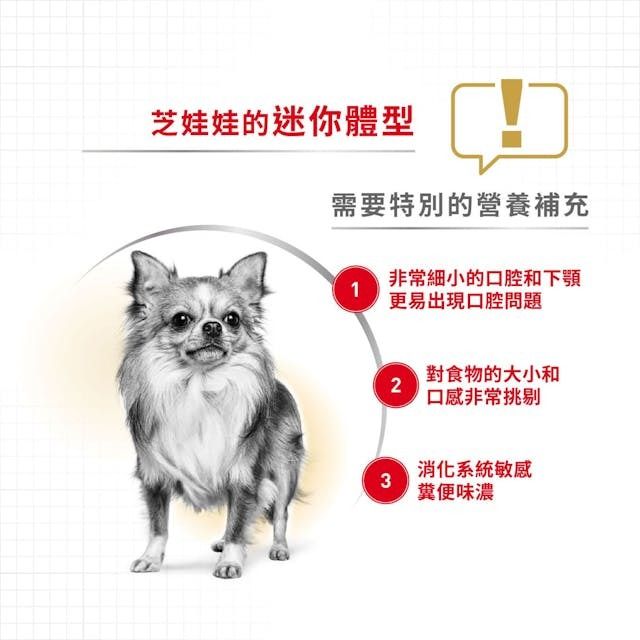 皇家 - BHN 芝娃娃成犬專屬主食濕糧(肉塊) 85克 x 12