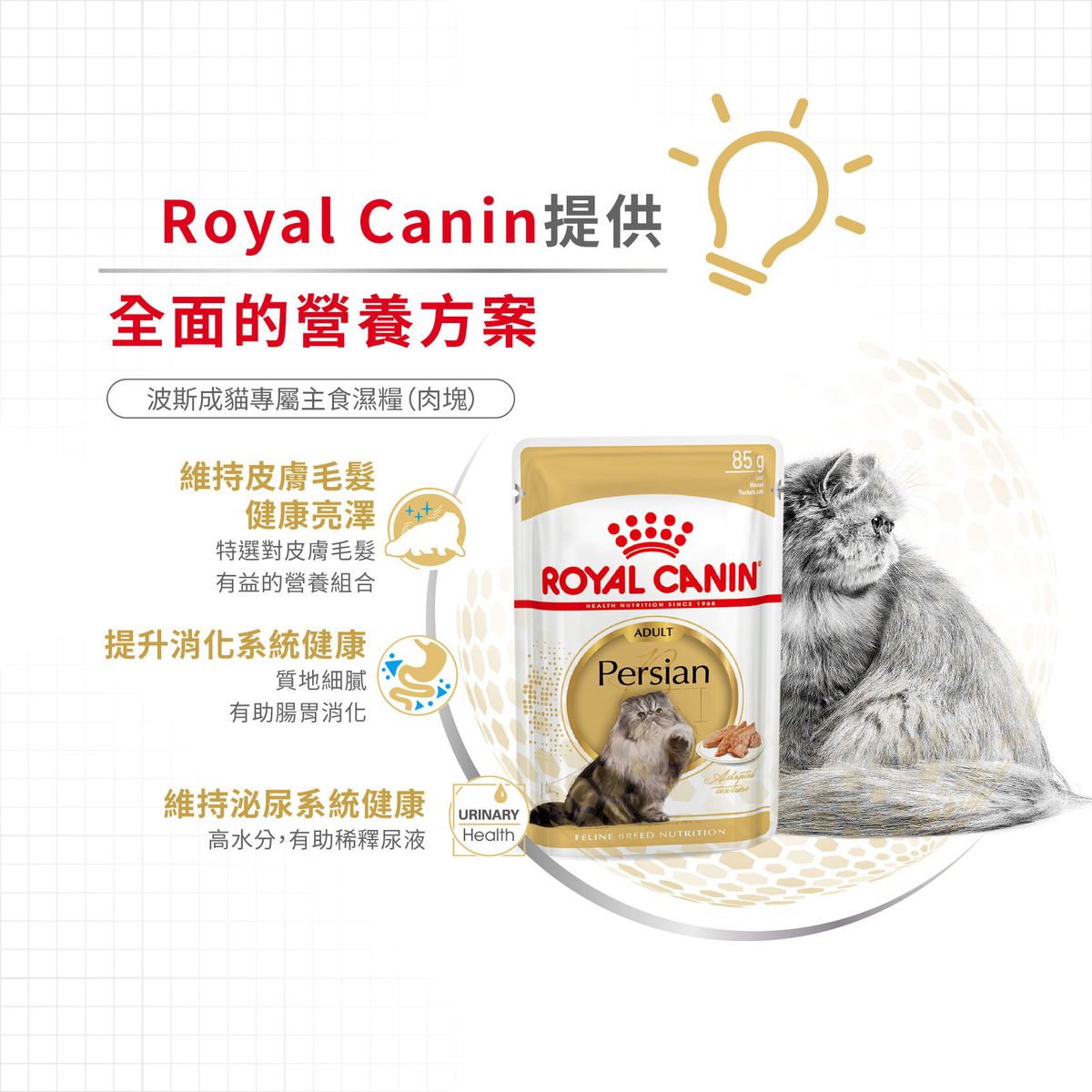 皇家 - FBN 波斯成貓專屬主食濕糧(肉塊)85克 X 2
