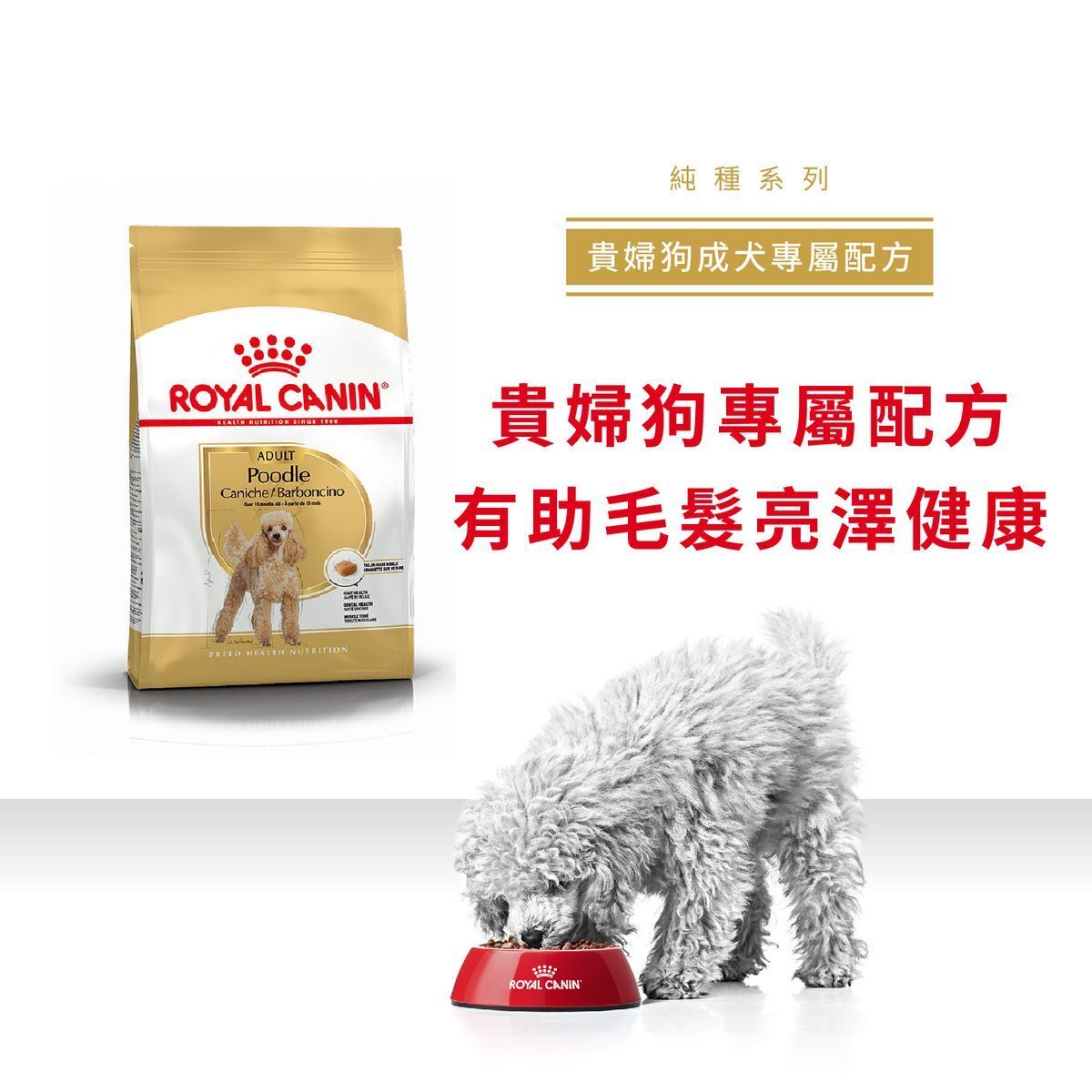 BHN 貴婦狗成犬專屬配方 7.5公斤 (包裝隨機提供)