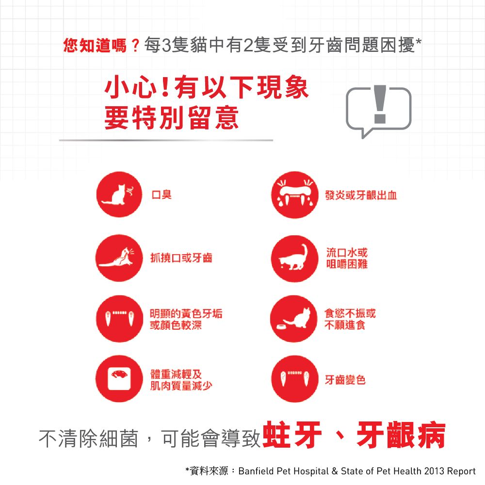 FCN 成貓高效潔齒加護配方8公斤
