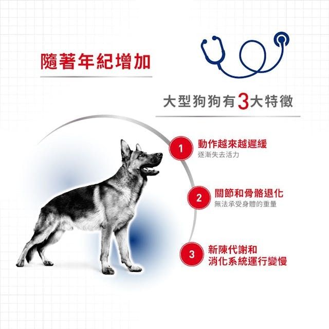SHN 大型熟齡及老犬營養主食濕糧(肉汁) 140克 x 10