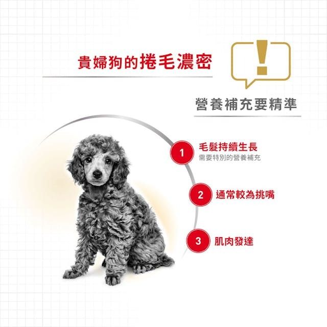 BHN 貴婦狗成犬專屬主食濕糧(肉塊)85克 x 12