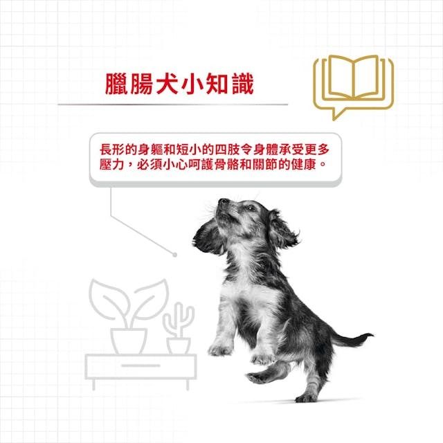 BHN 臘腸狗專屬主食濕糧(肉塊) 85克 x 12