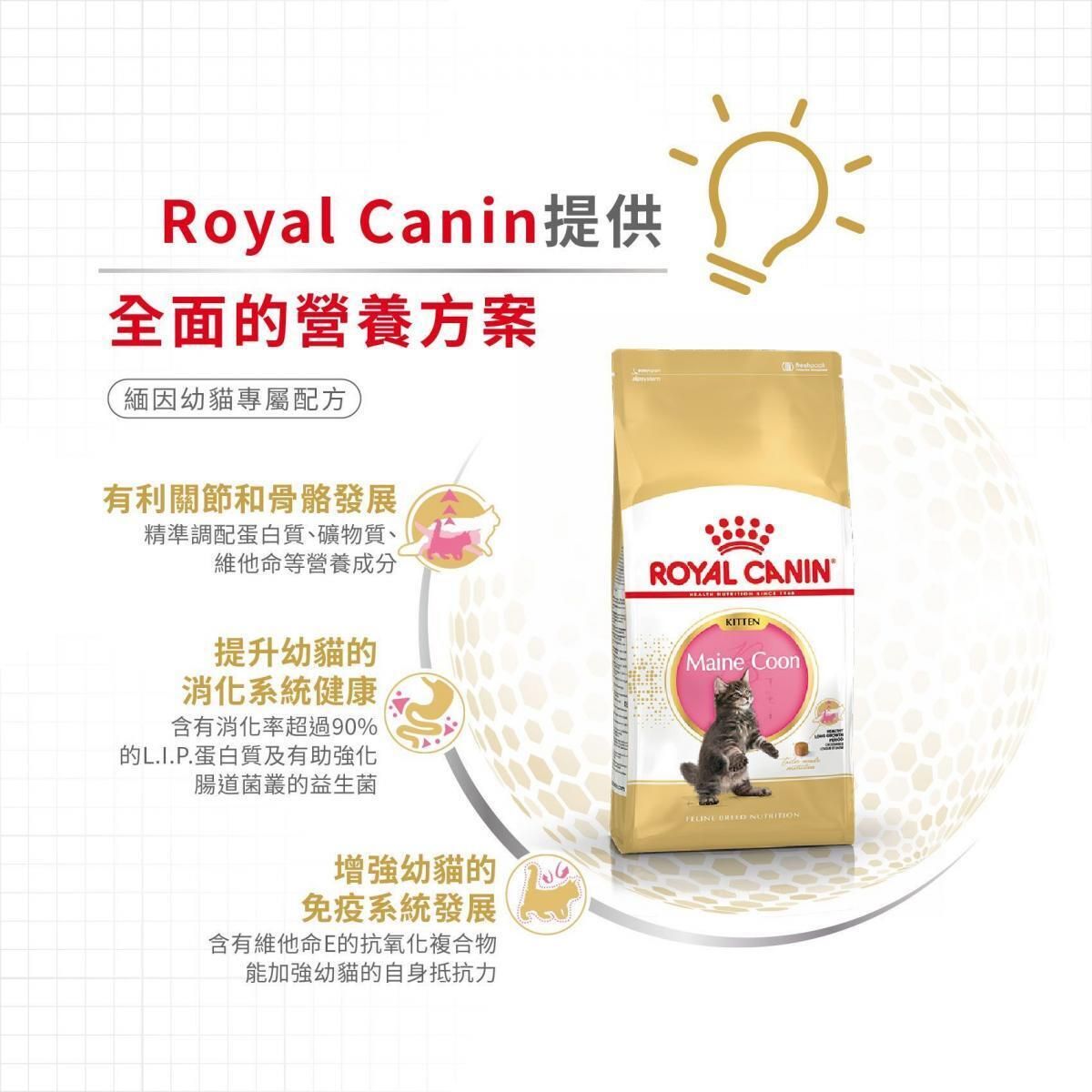 緬因幼貓專屬配方 2kg 貓乾糧 FBN 骨骼關節配方