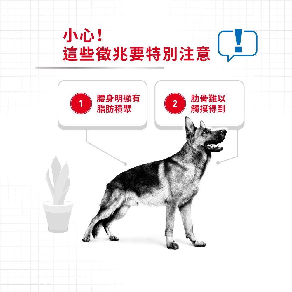 大型犬體重控制加護配方12公斤(包裝隨機提供)