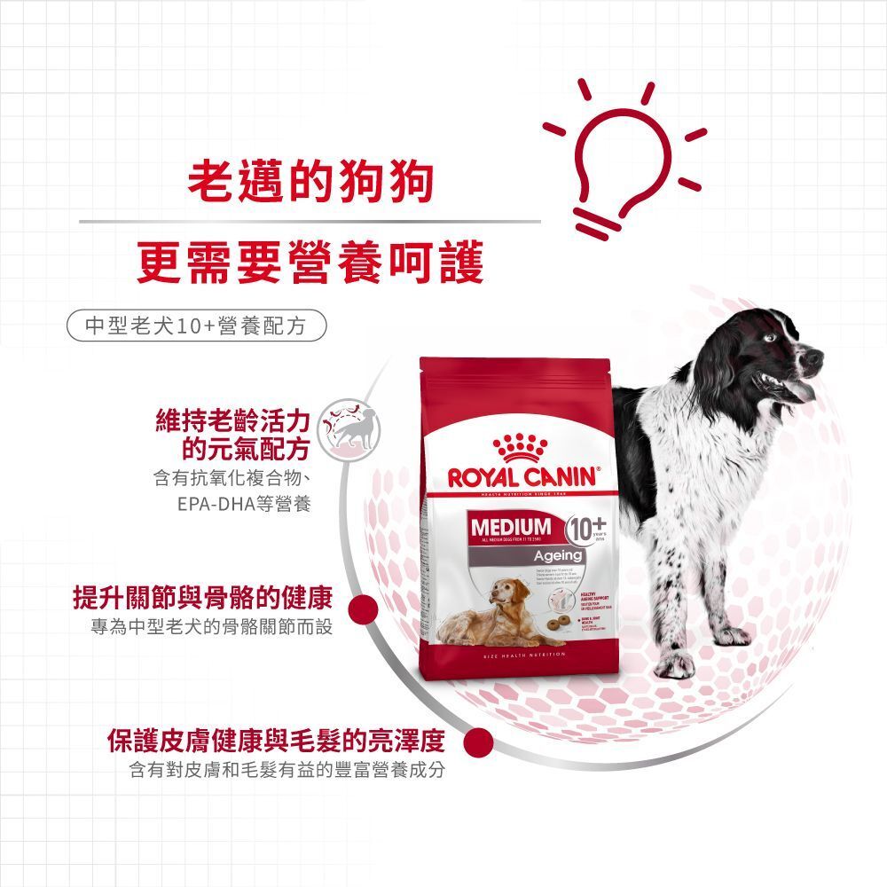 SHN 中型老犬 10+ 營養配方 3公斤