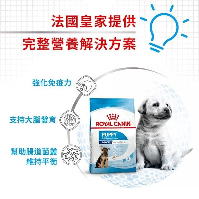 SHN 大型幼犬營養配方 15公斤 (包裝隨機提供)