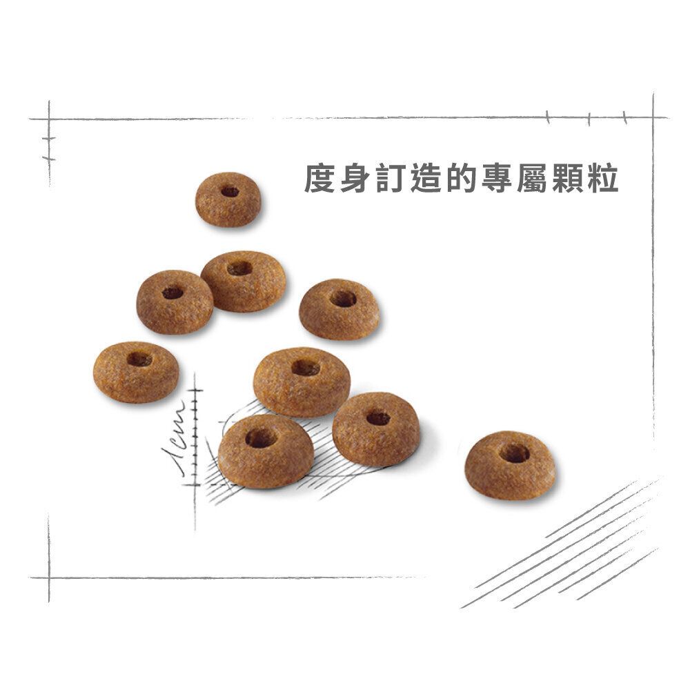 FHN 成貓全效健康營養配方 10 公斤