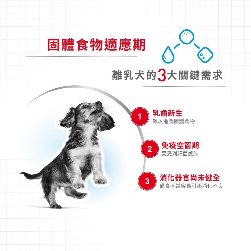 SHN 初生犬及母犬營養主食罐頭195克 X 12