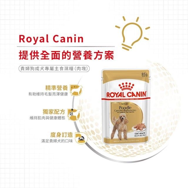 BHN 貴婦狗成犬專屬主食濕糧(肉塊)85克 x 12