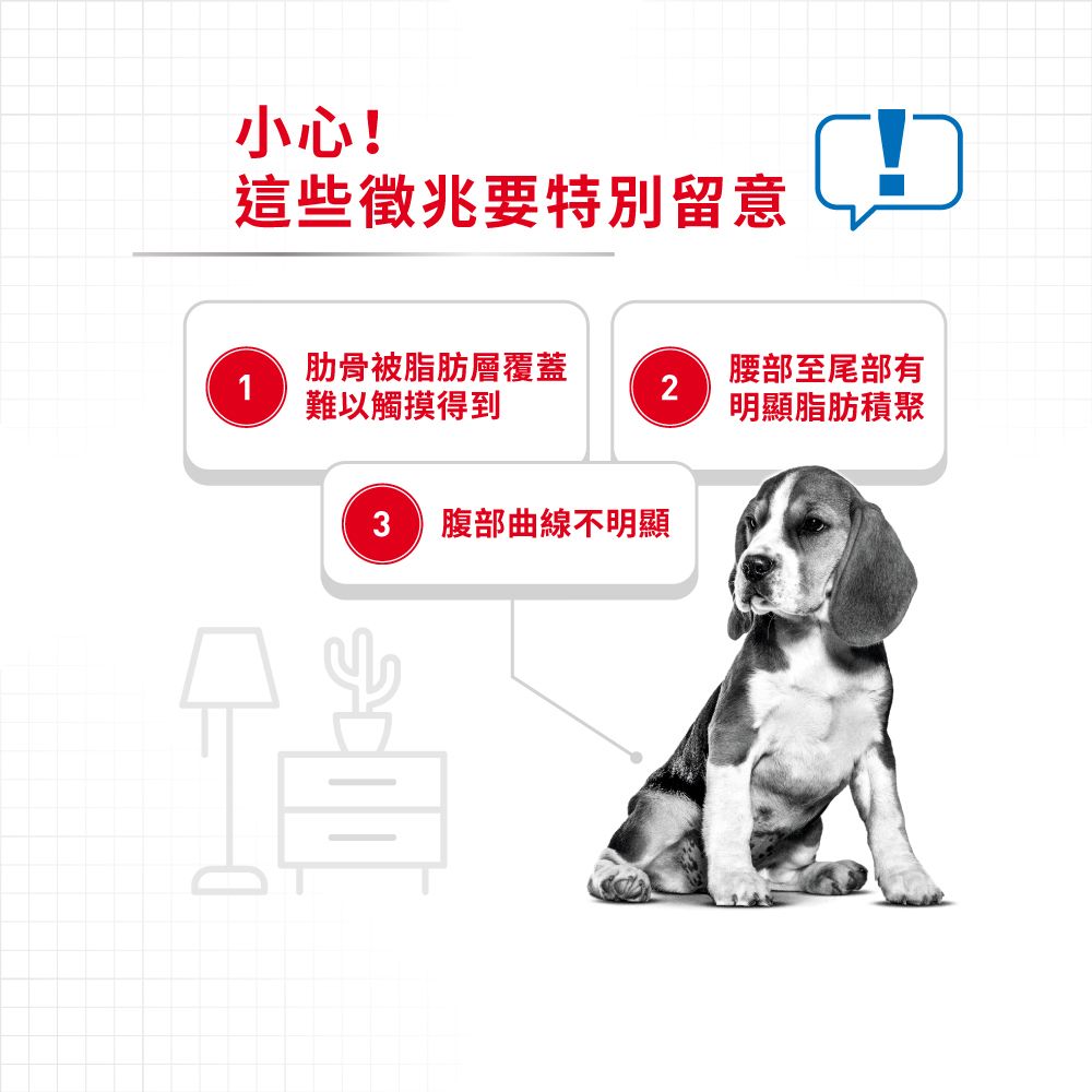 中型犬體重控制加護配方12公斤(包裝隨機提供)