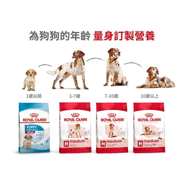 SHN 中型成犬營養配方 15公斤 (包裝隨機提供)