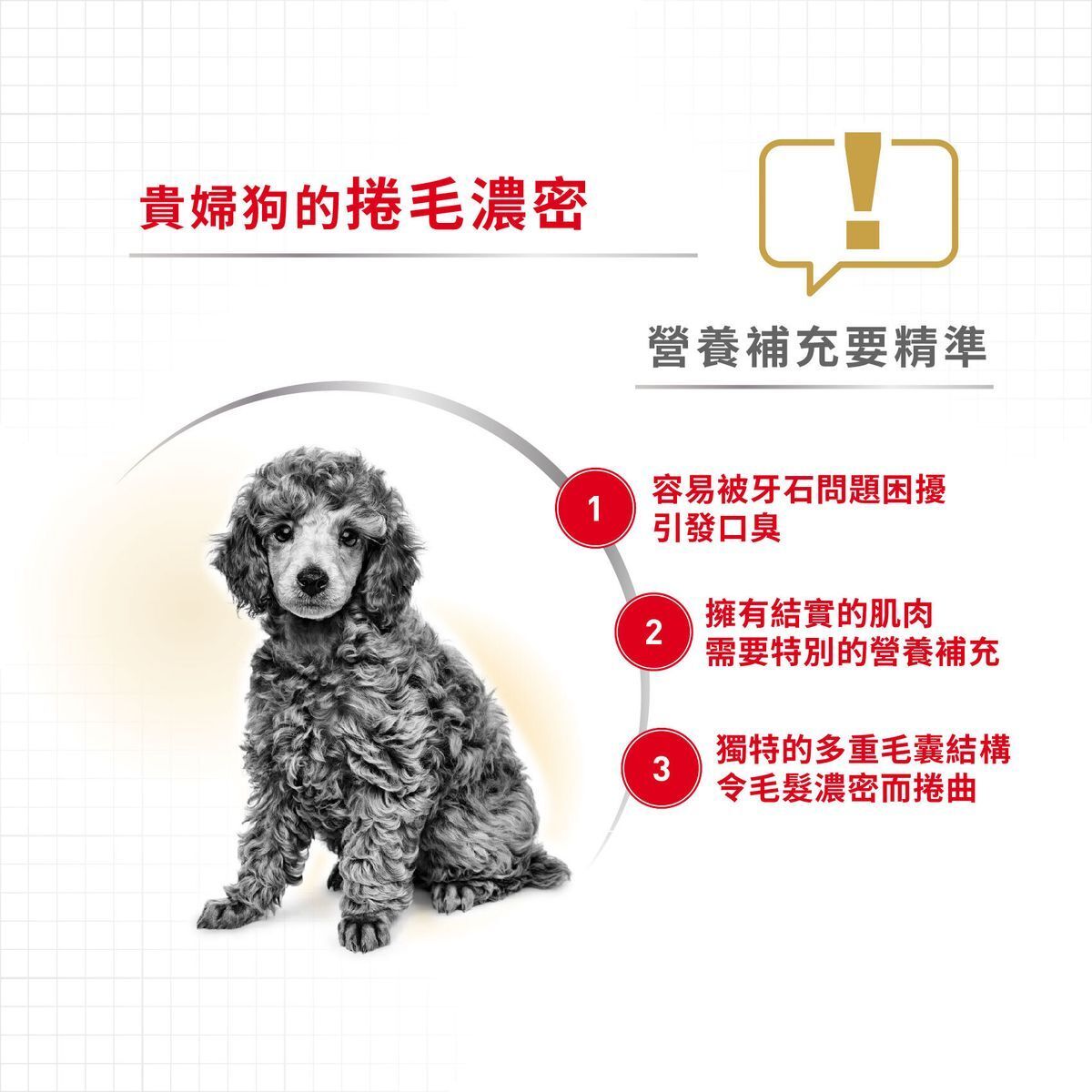 BHN 貴婦狗成犬專屬配方 7.5公斤 (包裝隨機提供)