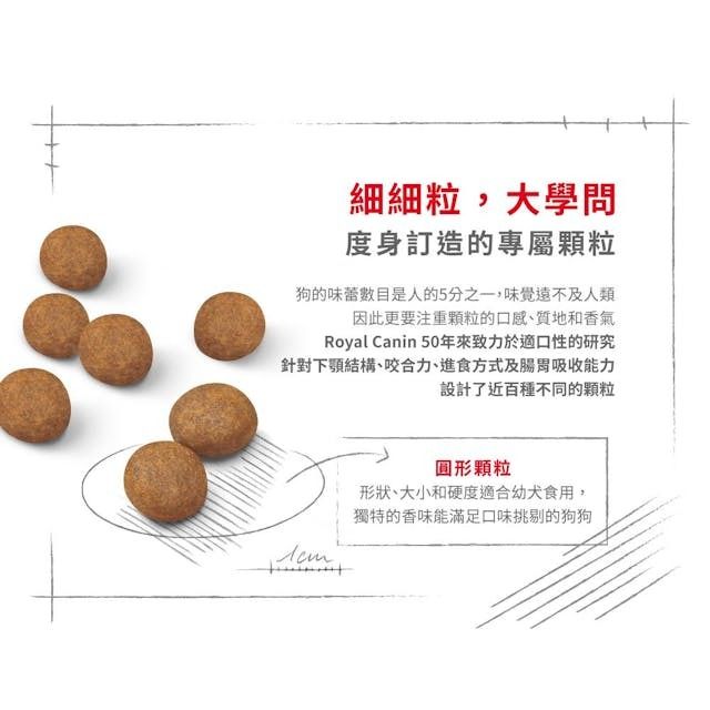 SHN 大型幼犬營養配方 15公斤 (包裝隨機提供)