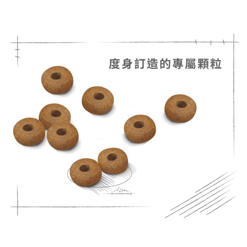 SHN 中型老犬 10+ 營養配方 3公斤