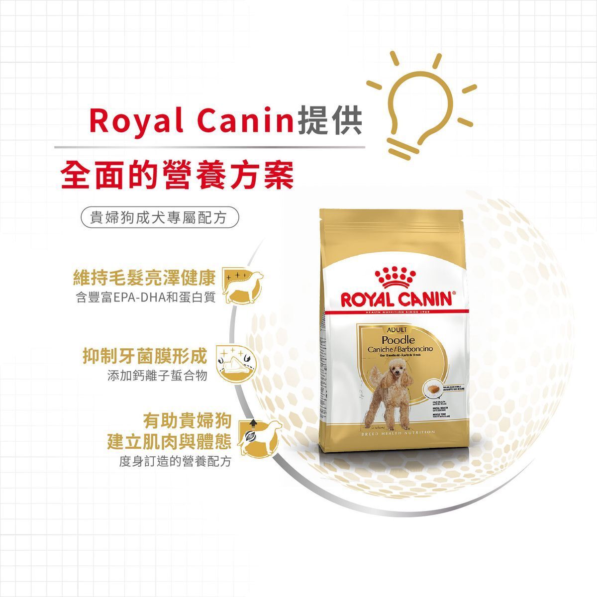 BHN 貴婦狗成犬專屬配方 7.5公斤 (包裝隨機提供)