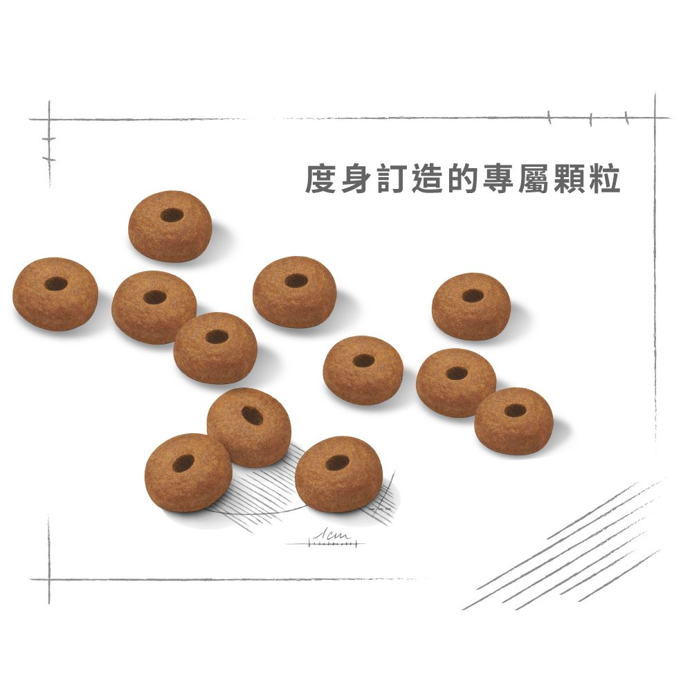 大型犬體重控制加護配方12公斤(包裝隨機提供)