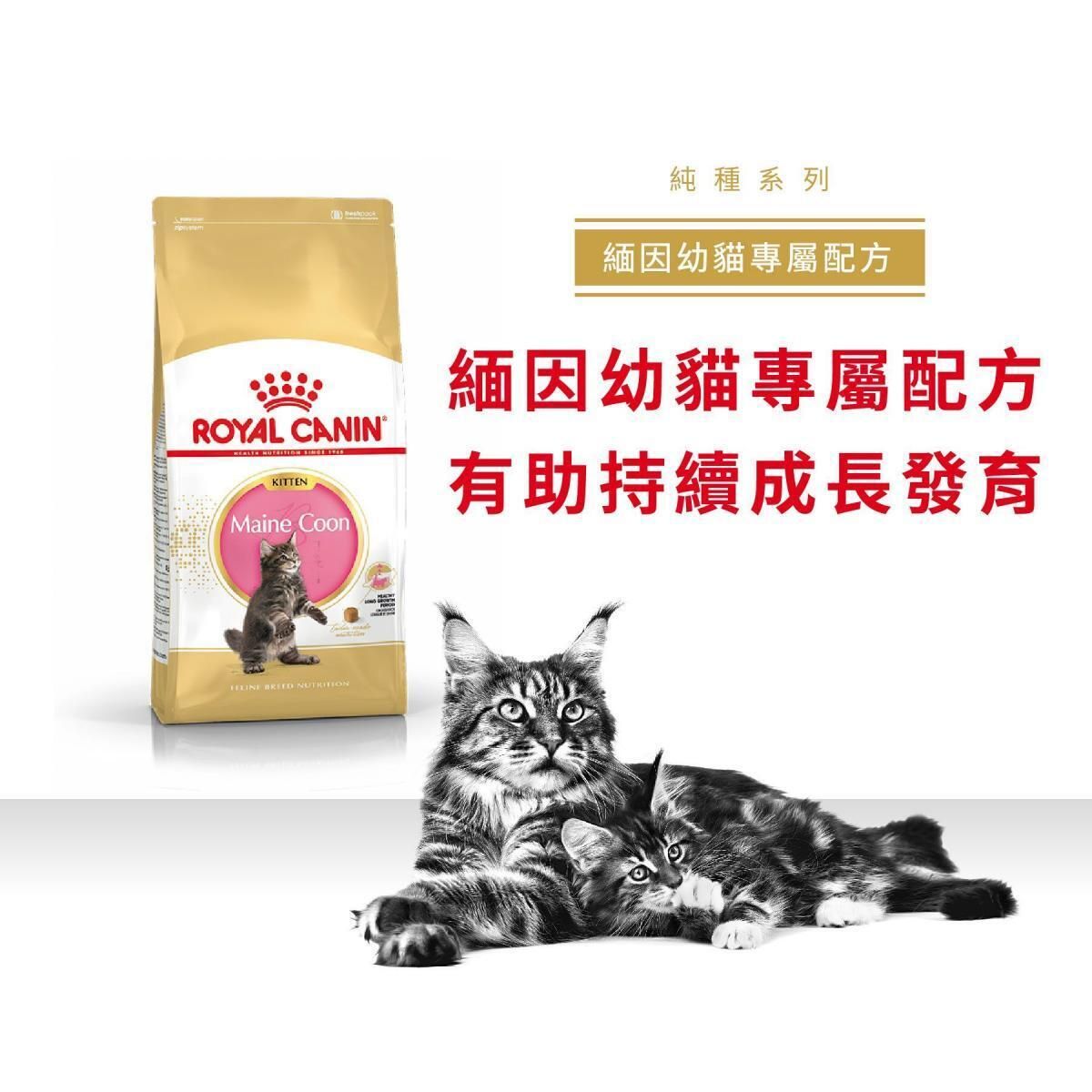 緬因幼貓專屬配方 2kg 貓乾糧 FBN 骨骼關節配方