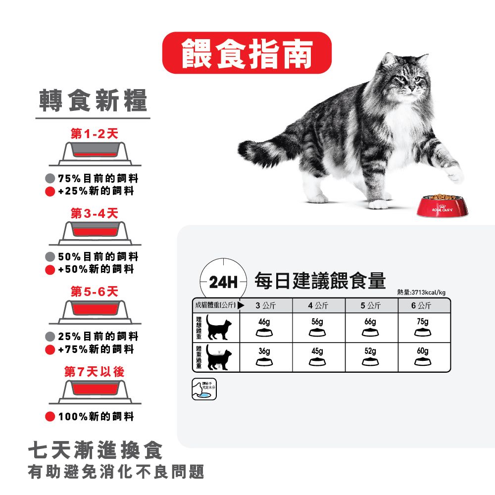 FCN 成貓高效潔齒加護配方8公斤