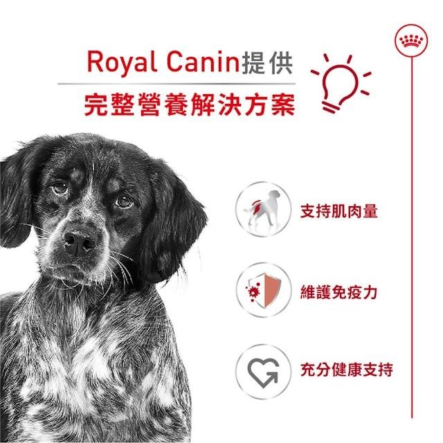 SHN 中型成犬營養配方 15公斤 (包裝隨機提供)