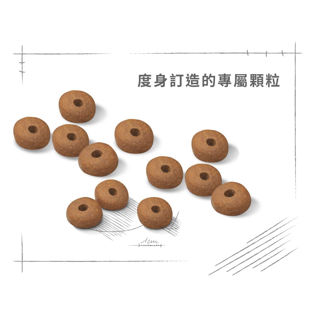 中型犬體重控制加護配方12公斤(包裝隨機提供)