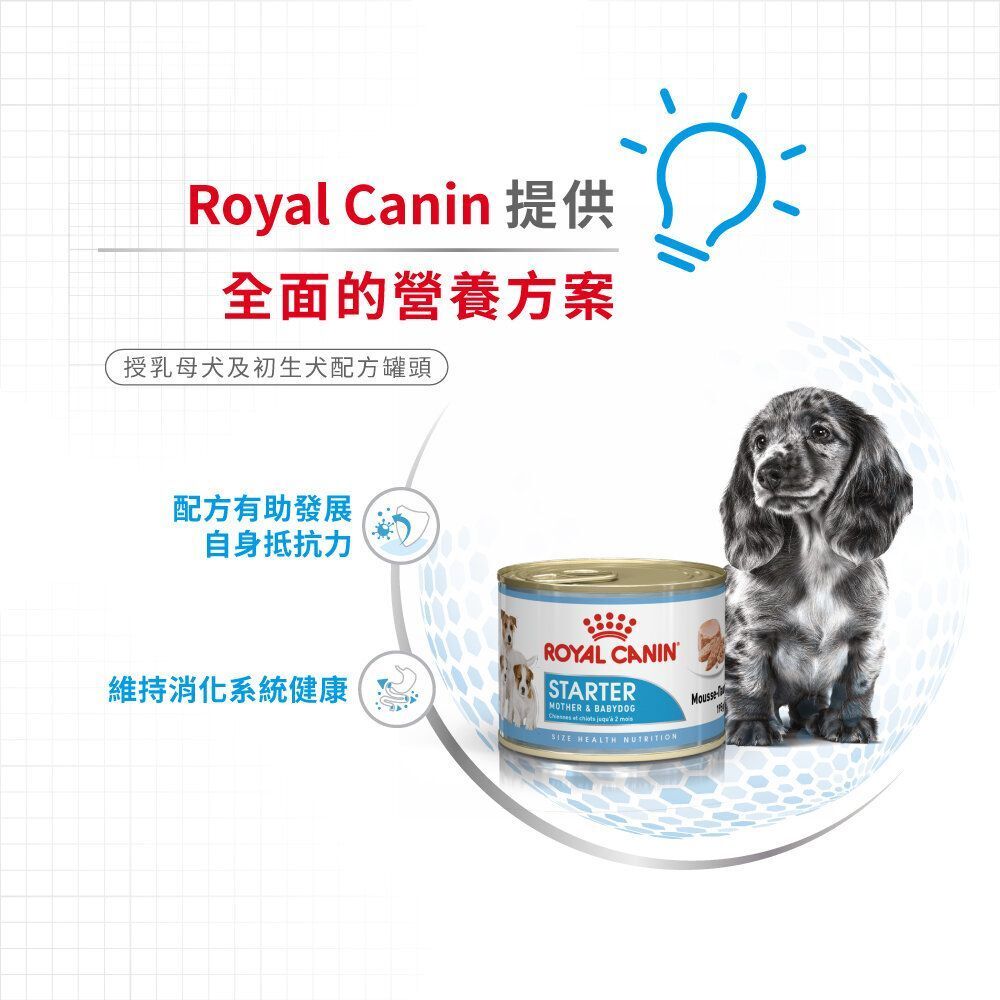 SHN 初生犬及母犬營養主食罐頭195克 X 12