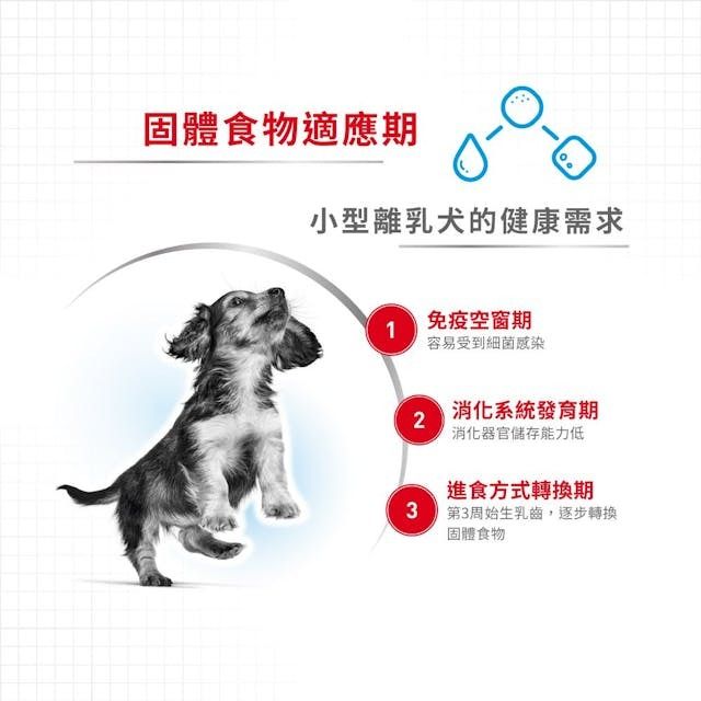 皇家-SHN 小型初生犬及母犬營養配方3公斤