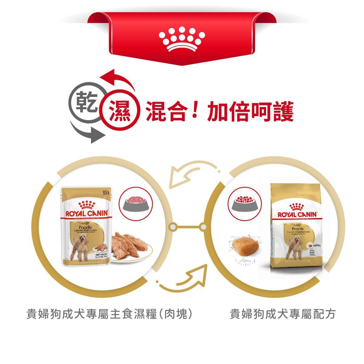 BHN 貴婦狗成犬專屬配方 7.5公斤 (包裝隨機提供)