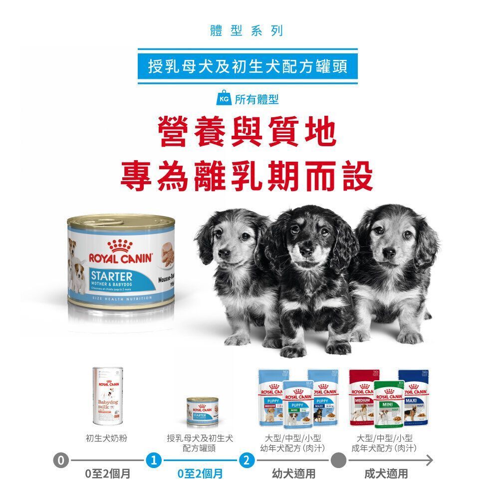 SHN 初生犬及母犬營養主食罐頭195克 X 12