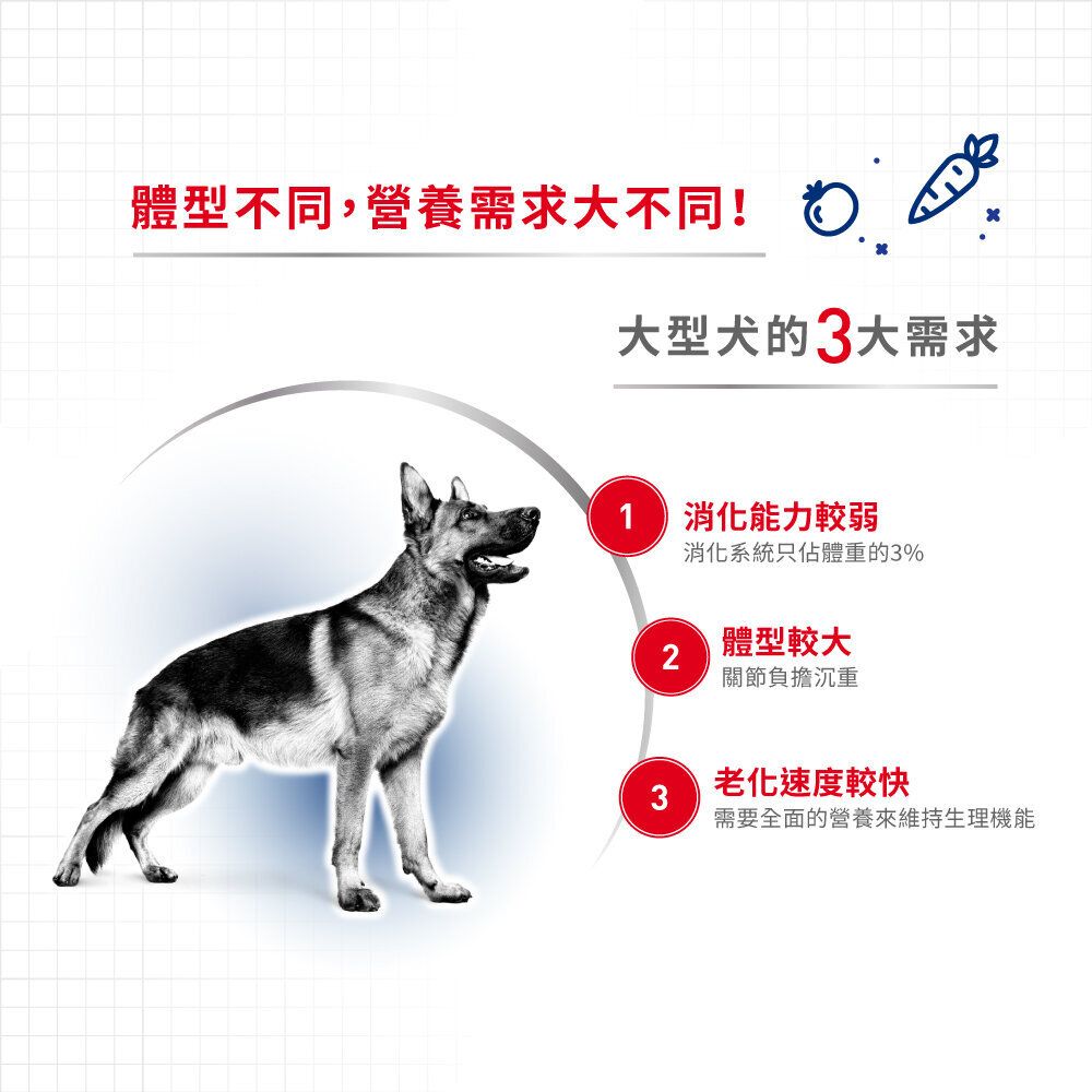 大型成犬 營養主食 袋裝狗濕糧 (肉汁) (140g)