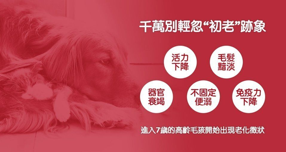 高齡犬7+ 提升活力配方 小型犬配方 狗乾糧 3.5磅 10770